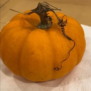 Meet your Posher, Catherine